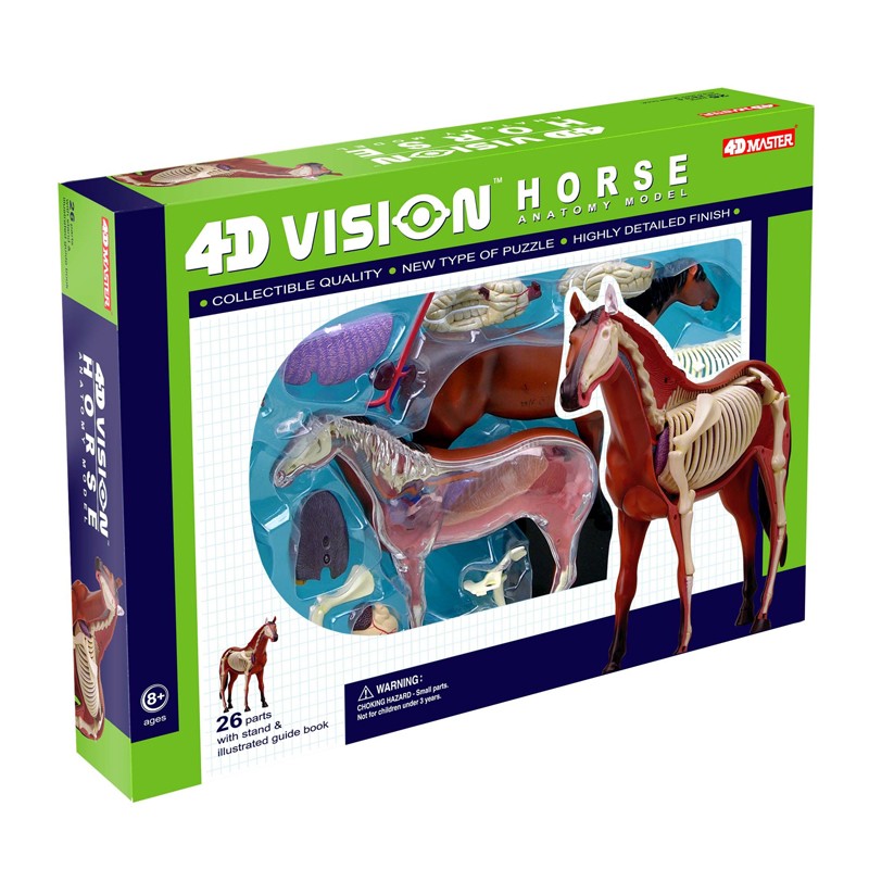 Visible 4D Horse Anatomy Kit