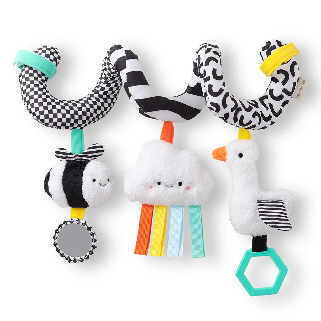 Spiral Activity Toy Contrast