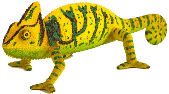 タウカン Town&Country Chameleon 5’9” Chameleon – Stevenson's Toys & Games