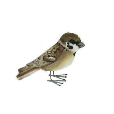 Sparrow