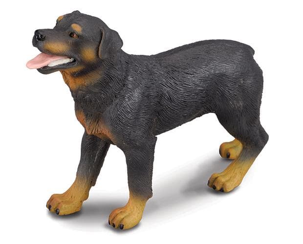 CollectA Rottweiler