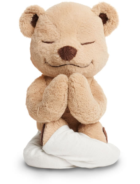 Meddy Teddy – Stevenson's Toys & Games