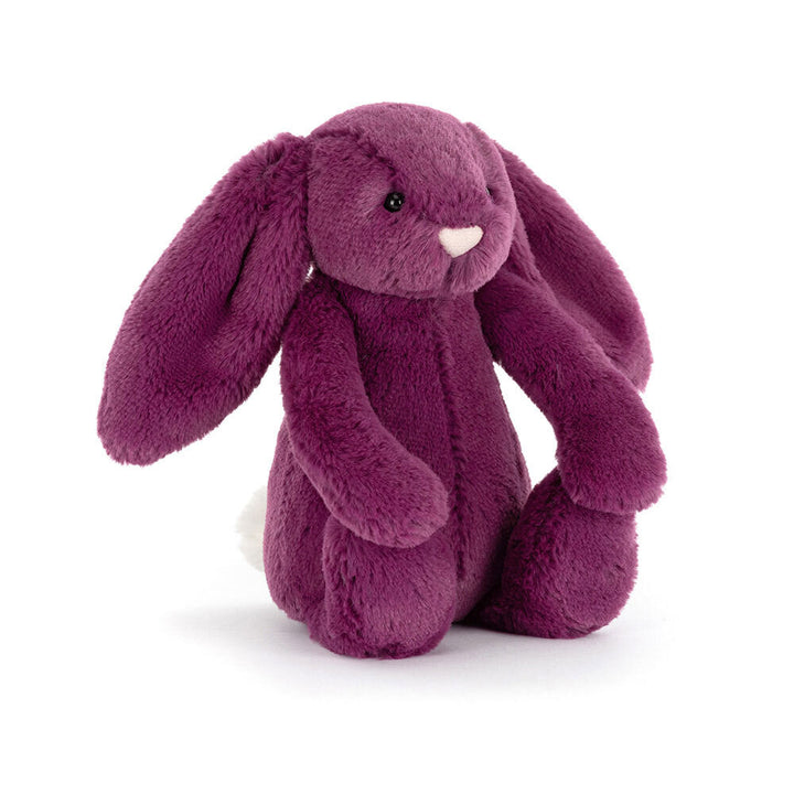 Bashful Bunny Allium (Purple) Little