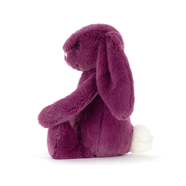 Bashful Bunny Allium (Purple) Little