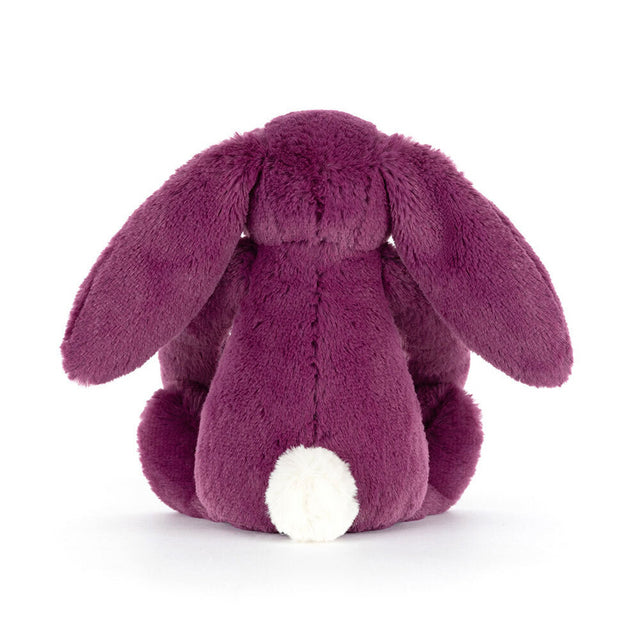 Bashful Bunny Allium (Purple) Little