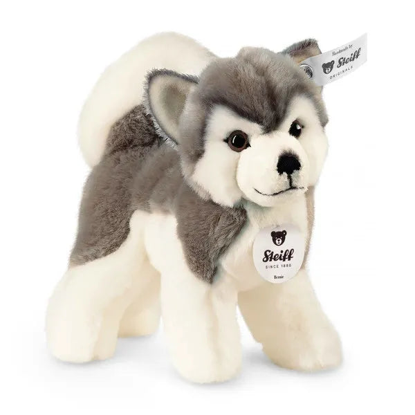 Bernie Husky 7"