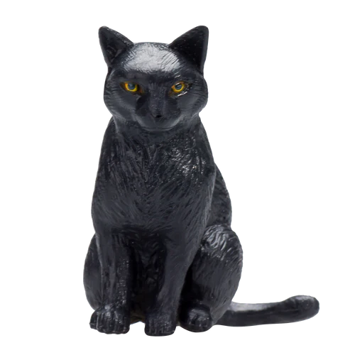 Black Cat Sitting Mojo