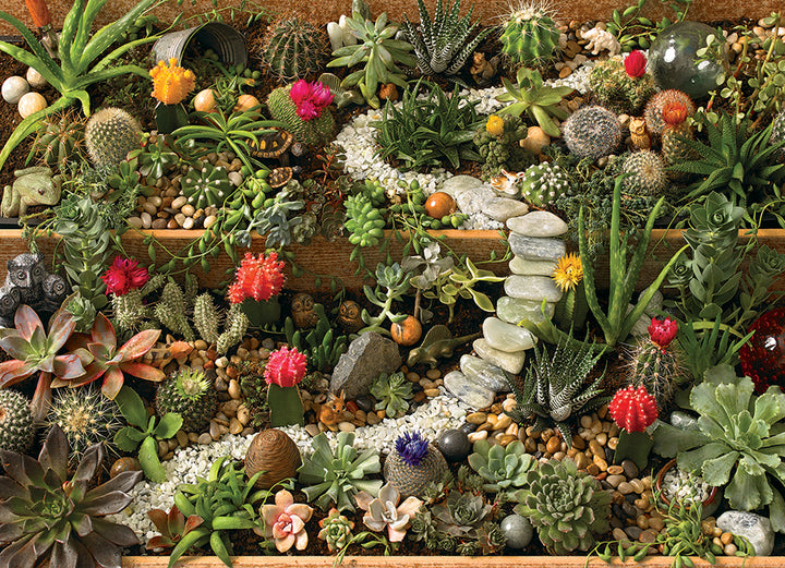 Succulent Garden puzzle (1000 pc)