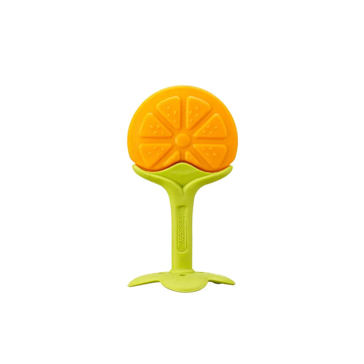 Citrus Fruit Teether