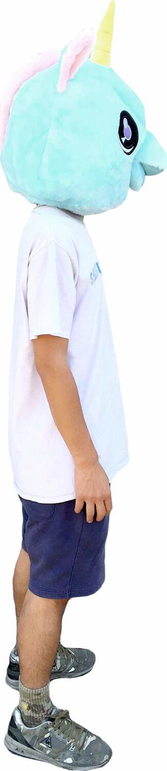 Big Fat Head (Unicorn)