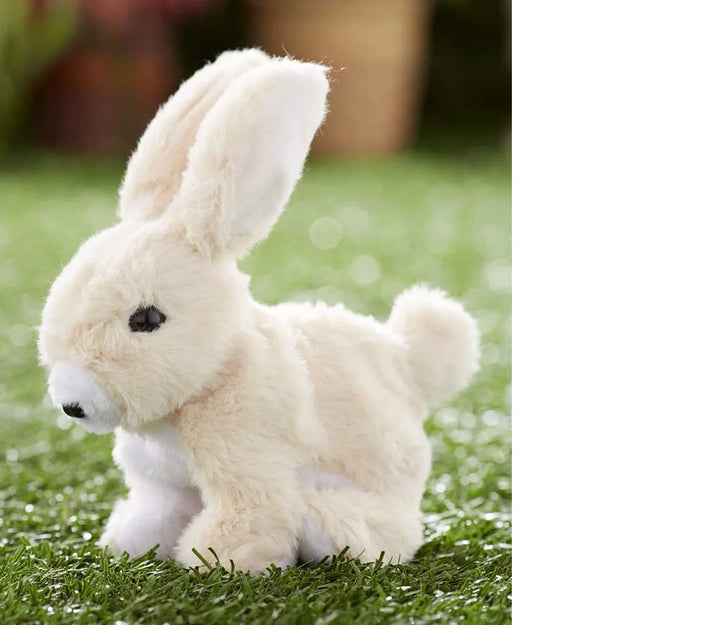 Hoppy The Rabbit