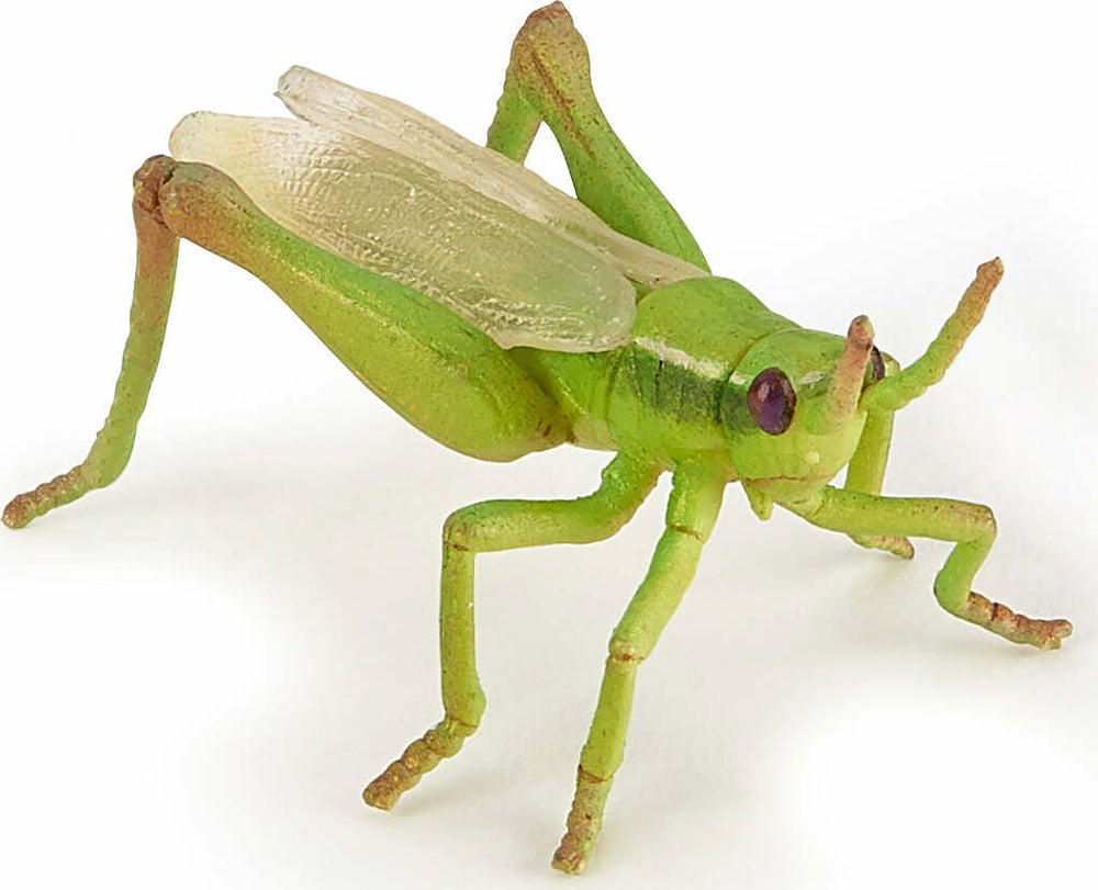 Papo France Grasshopper