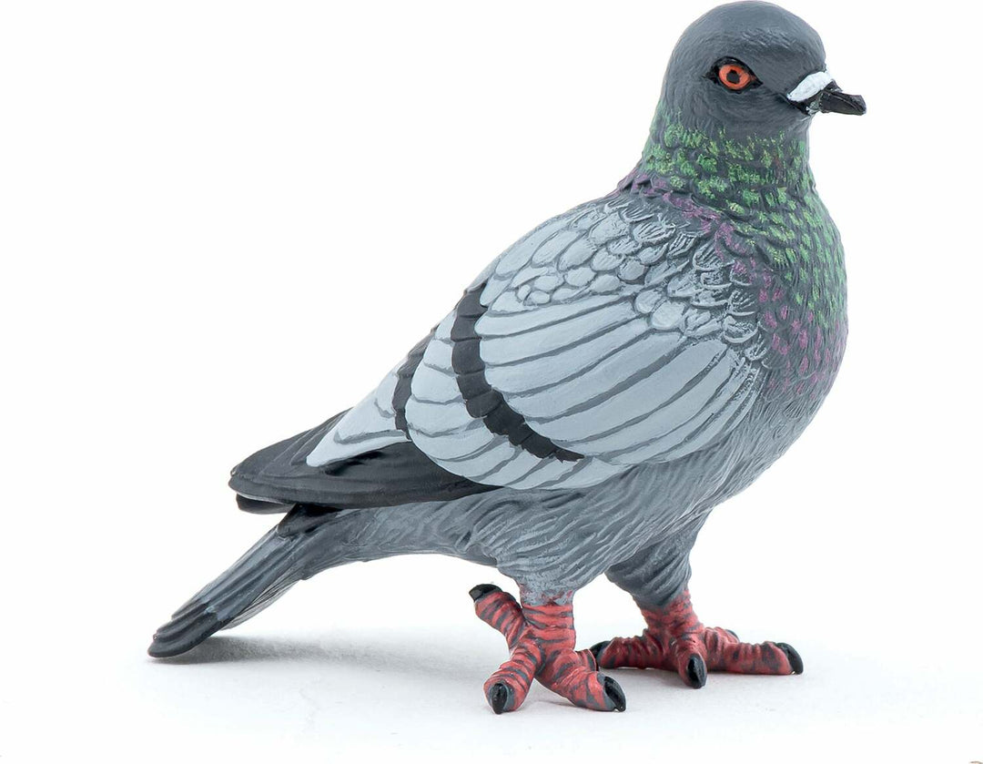 Papo France Pigeon