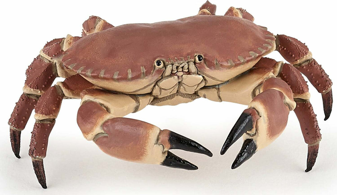 Papo France Crab