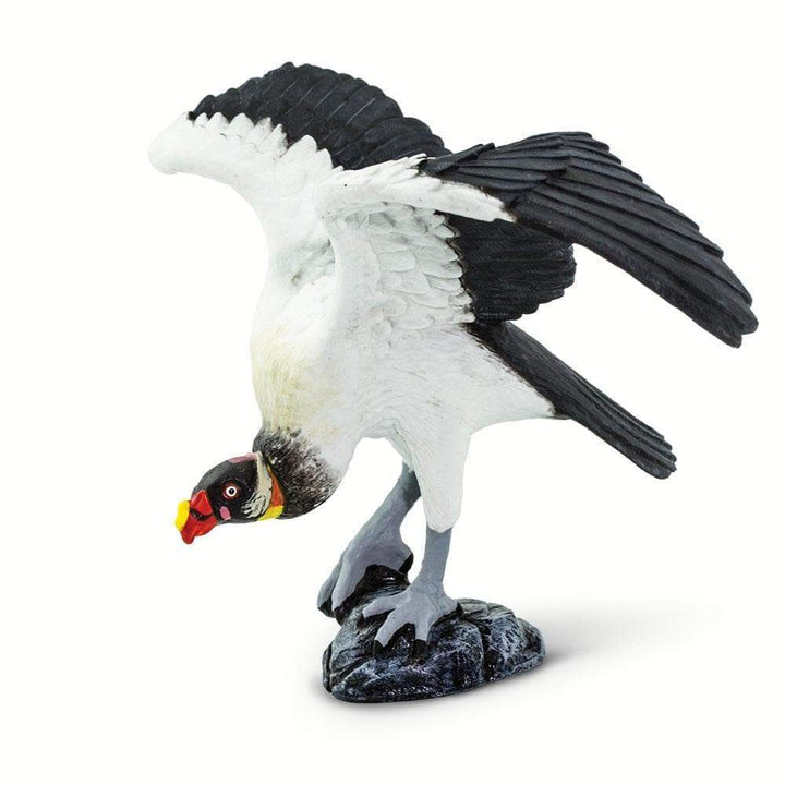 Bird King Vulture