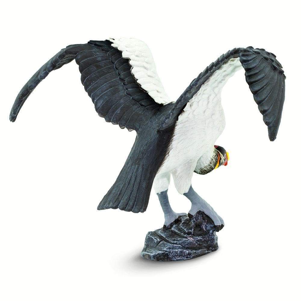 Bird King Vulture