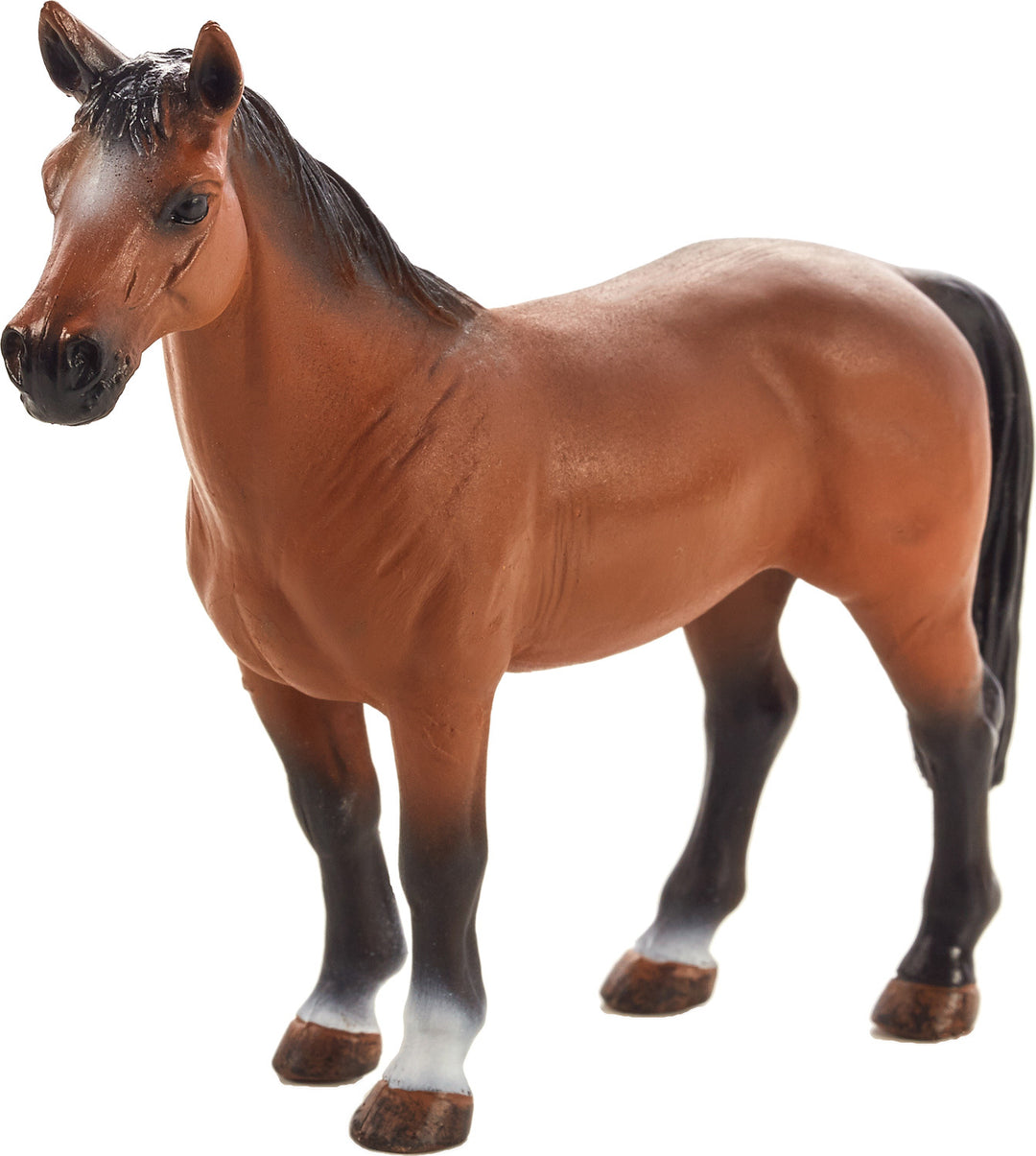 Trakehner