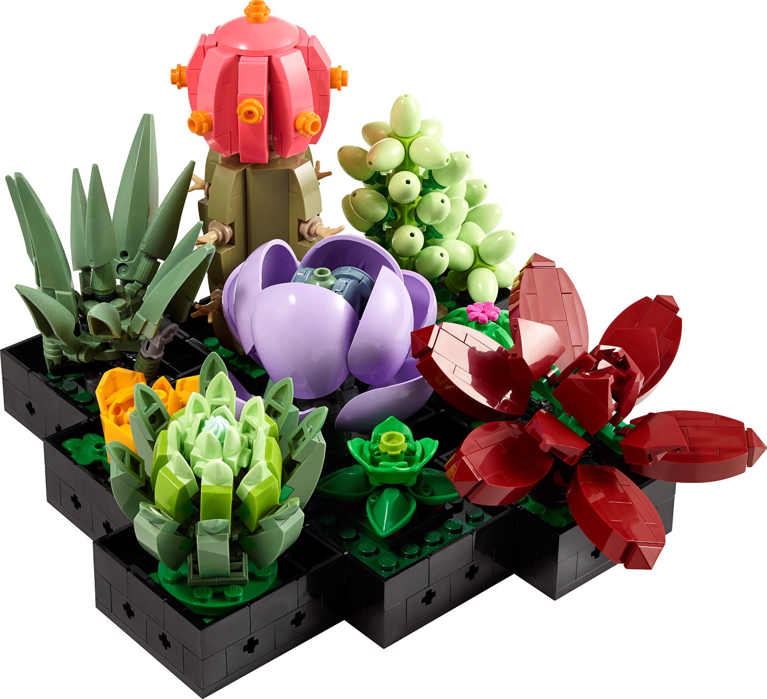 LEGO® Art Botanical Succulents – Stevenson's Toys & Games