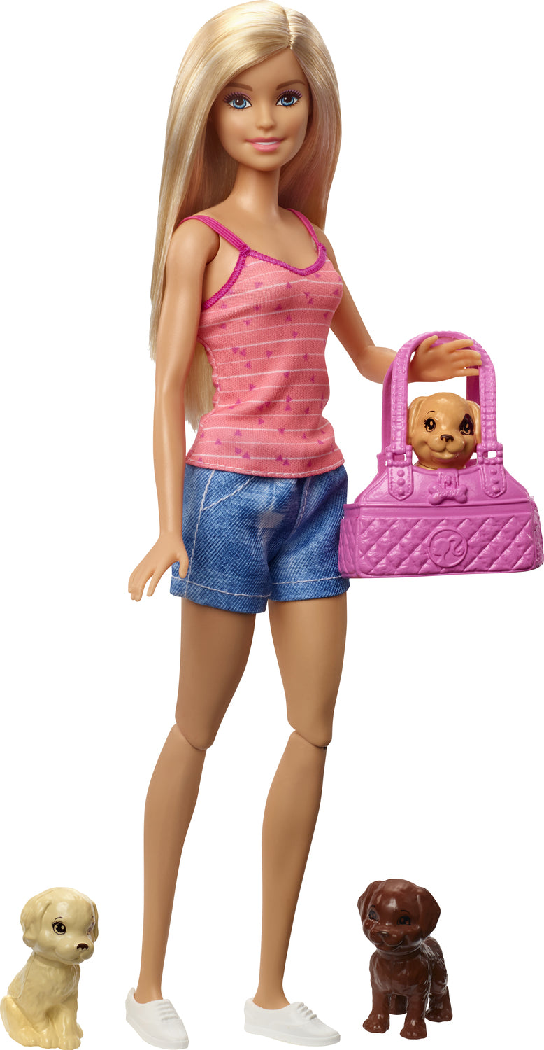 Barbie Doll & Accessories