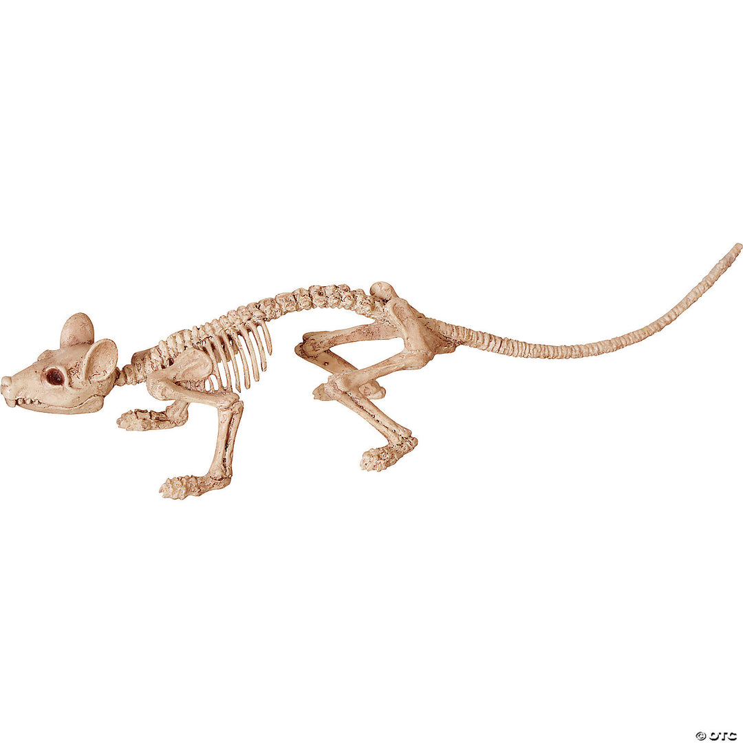 Rat Skeleton Mini