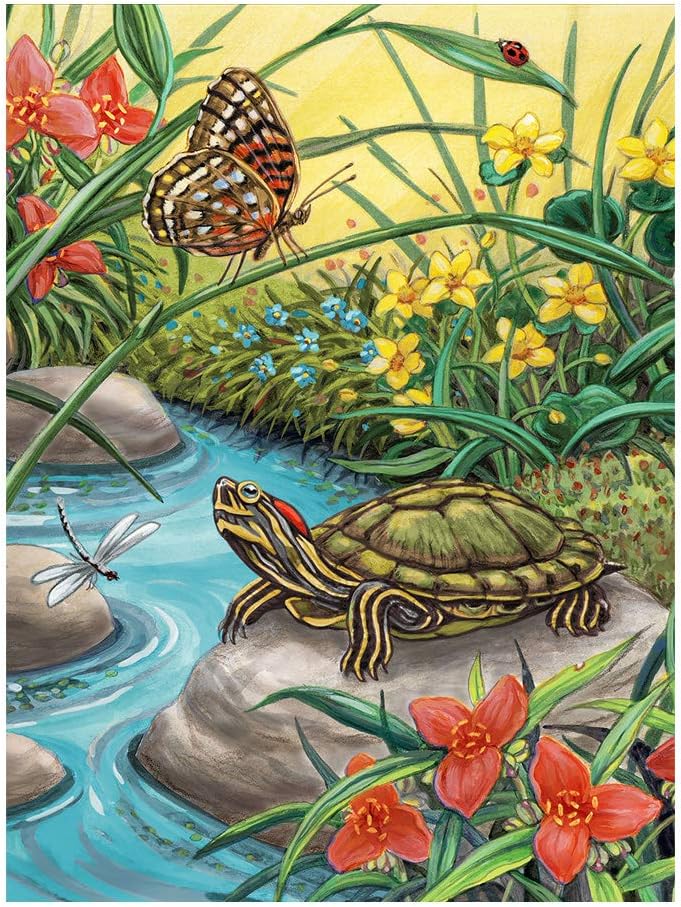 Paint by Number Jr Red Eared Slider