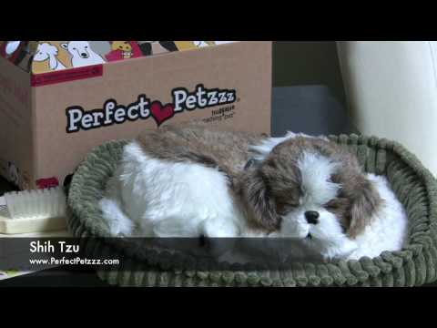Perfect Petzzz Shih-Tzu