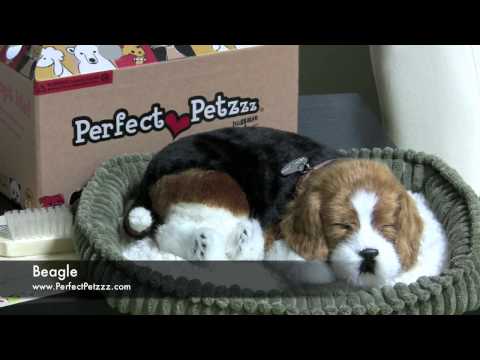 Perfect Petzzz Beagle
