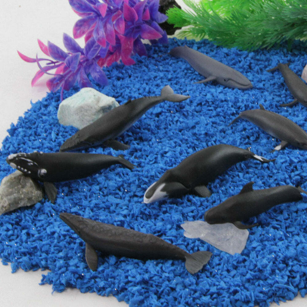 isana_whale 2点おまとめ Amazon.com: Safari Ltd. Whales TOOB - 10 Mini Plastic Whale