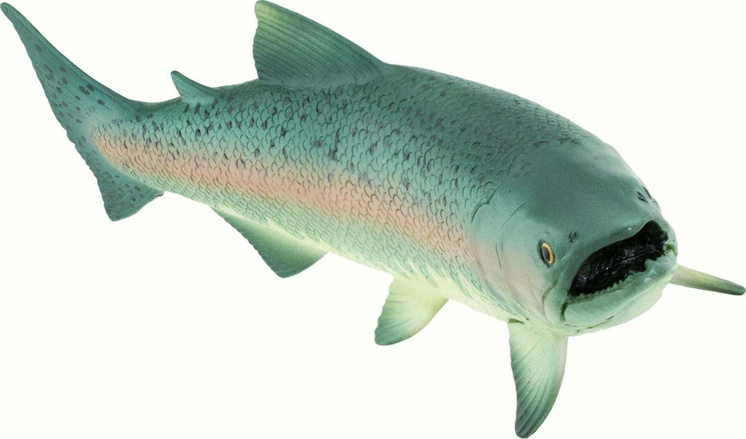Salmon Toy