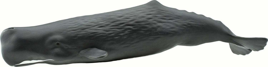 Sperm Whale Toy
