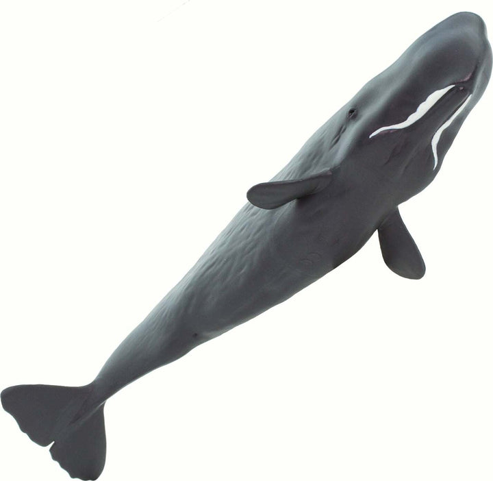 Sperm Whale Toy