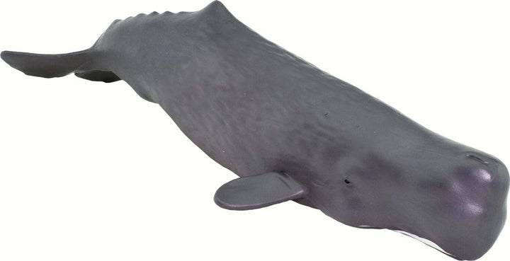 Sperm Whale Toy