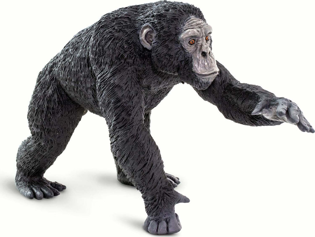 Chimpanzee Figure