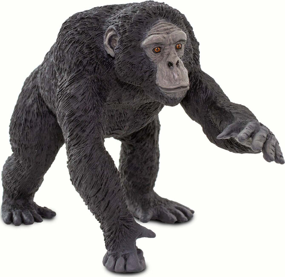 Chimpanzee Figure