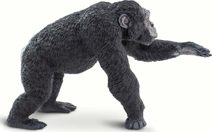 Chimpanzee Figure