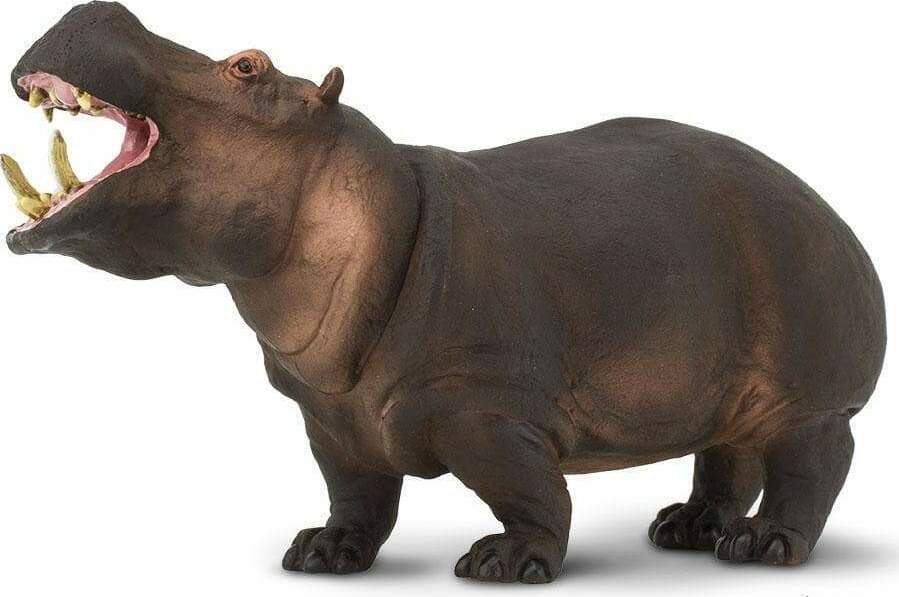 Hippopotamus Toy