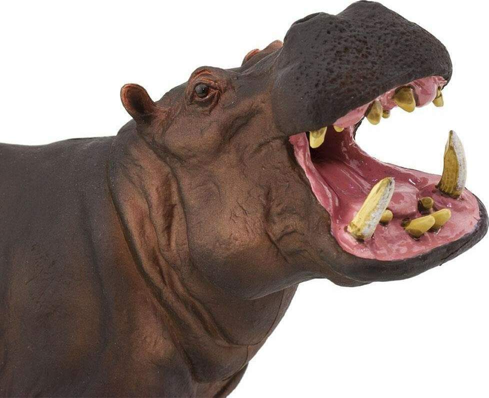 Hippopotamus Toy