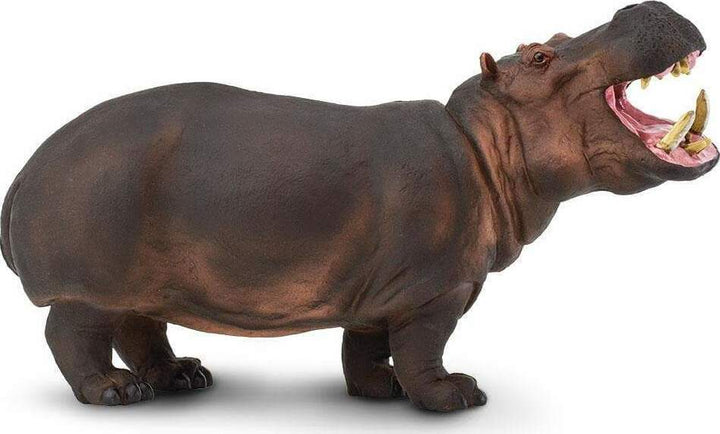 Hippopotamus Toy