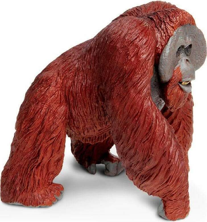 Bornean Orangutan Toy