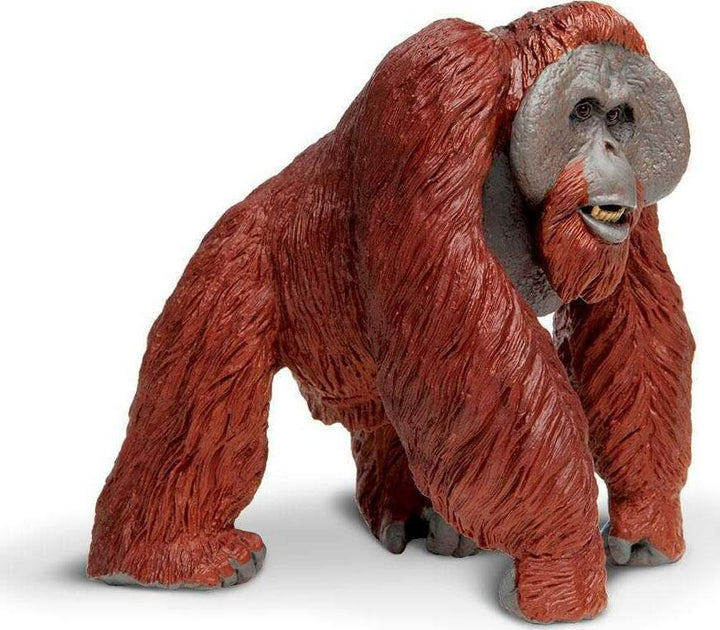 Bornean Orangutan Toy