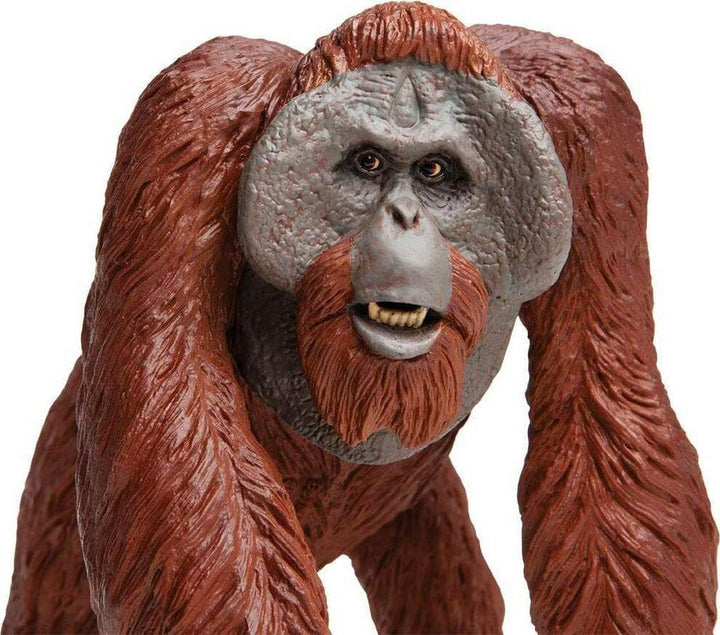 Bornean Orangutan Toy