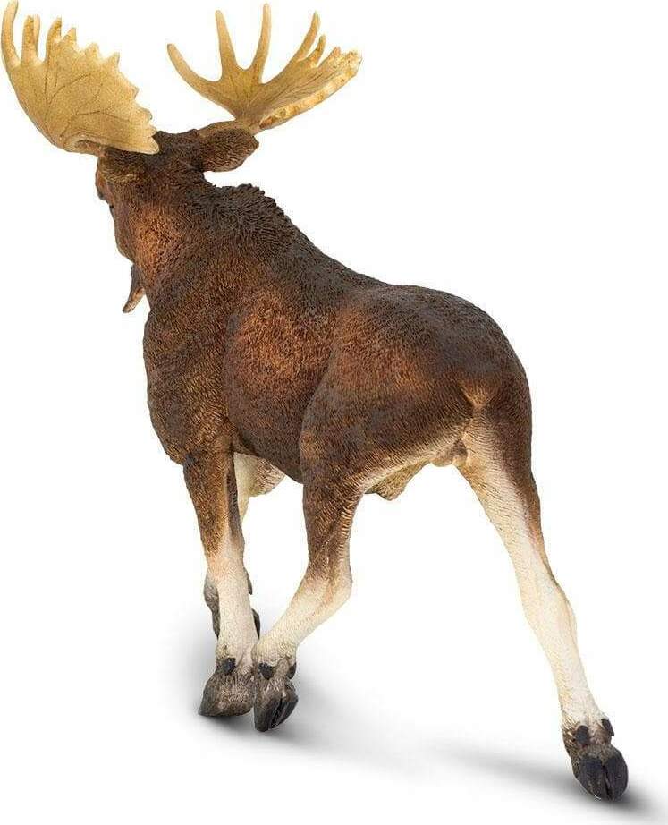 Moose Toy