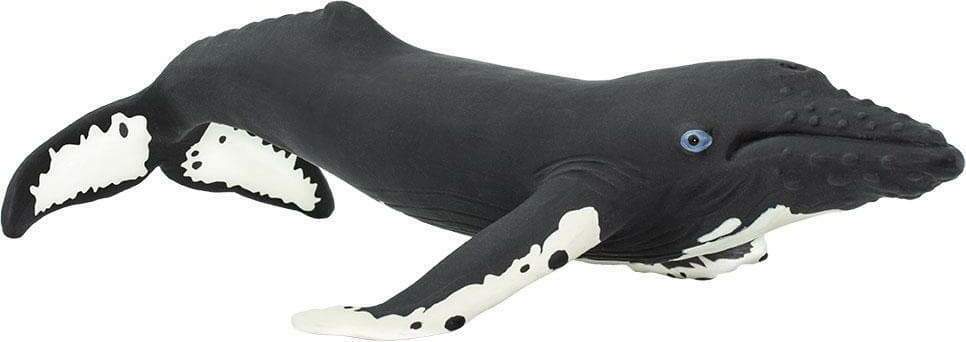 Sealife Humpback Whale – Stevenson's Toys & Games