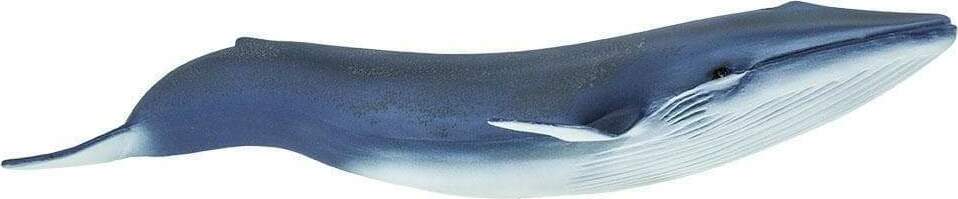 Blue Whale Toy