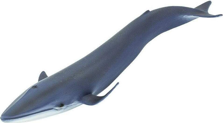 Blue Whale Toy