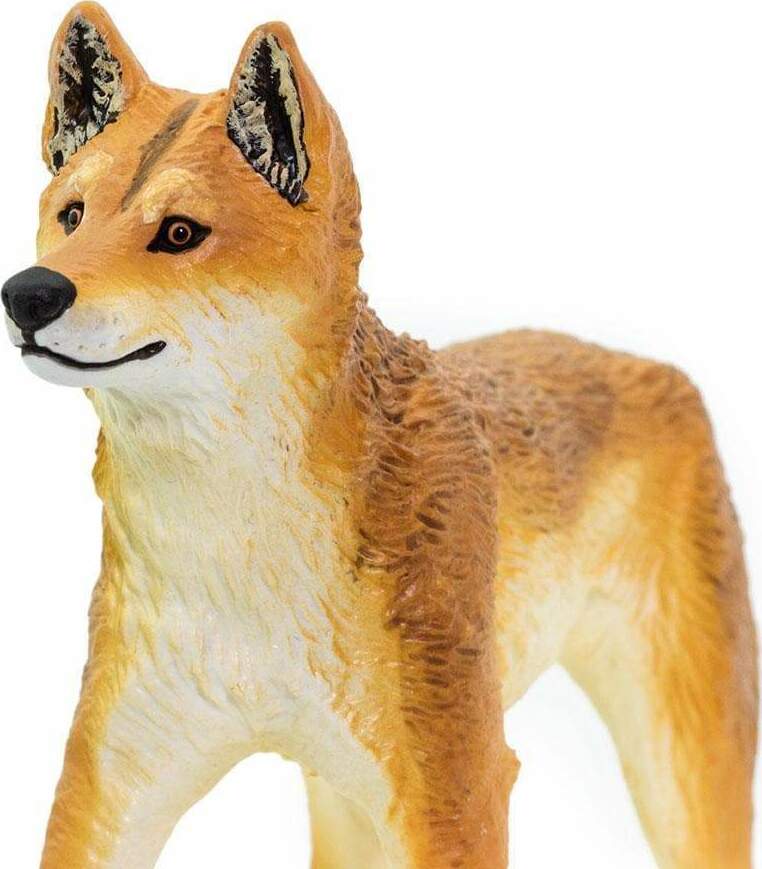 Dingo Toy