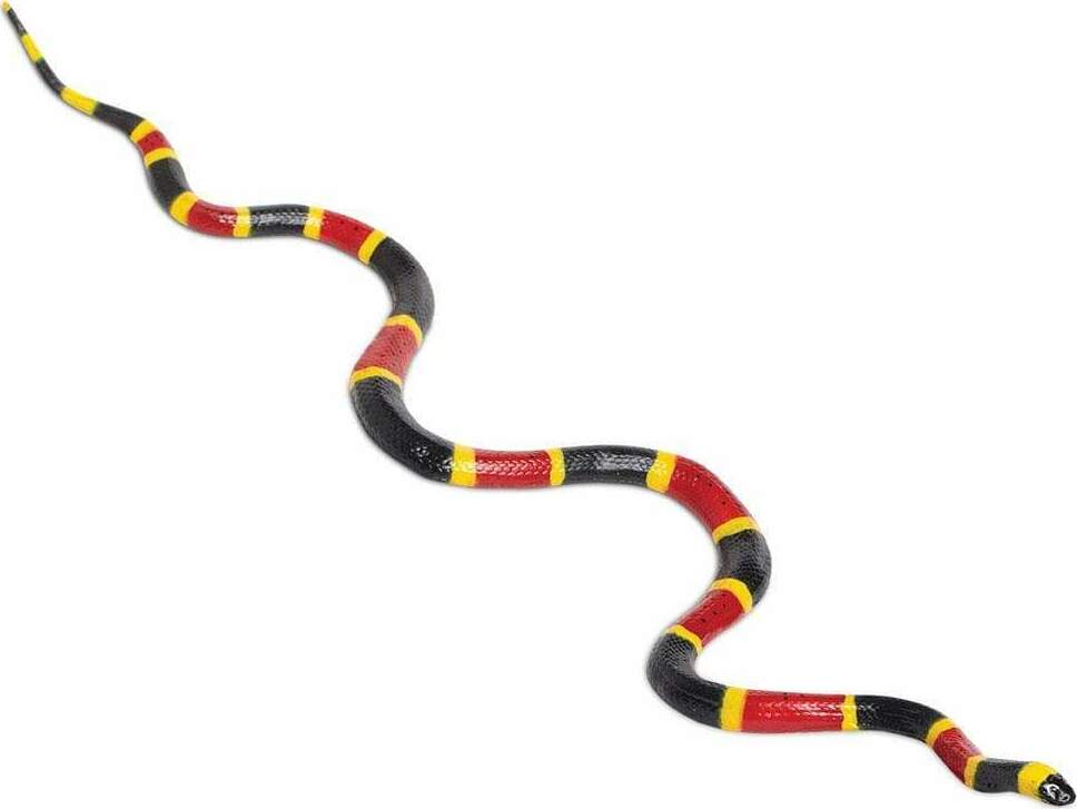 Coral Snake Toy