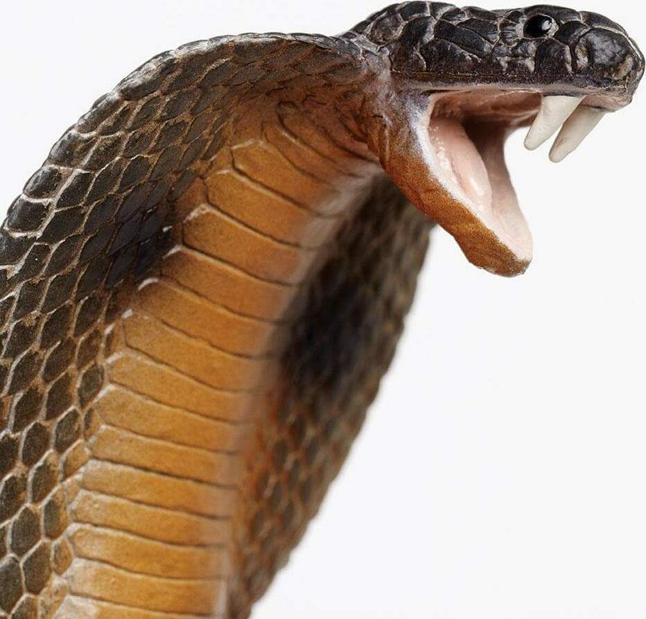 Cobra Toy