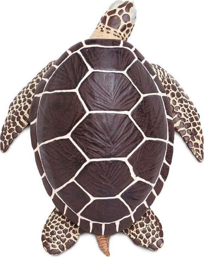 Sea Turtle Toy
