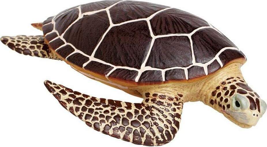 Sea Turtle Toy